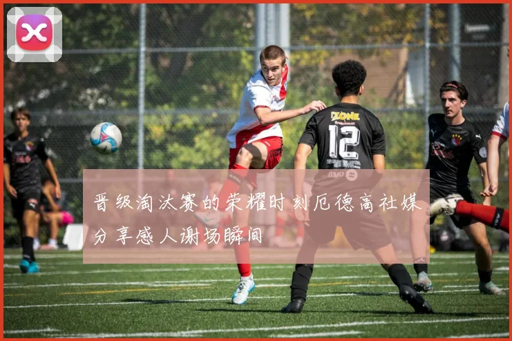 晋级淘汰赛的荣耀时刻厄德高社媒分享感人谢场瞬间